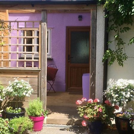 Cute Self-Contained Guest Room With Ensuite And Private Decked Porch In Glastonbury Luaran gambar