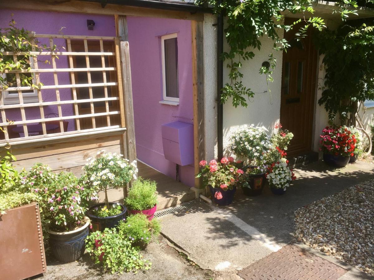 Cute Self-Contained Guest Room With Ensuite And Private Decked Porch In Glastonbury Luaran gambar